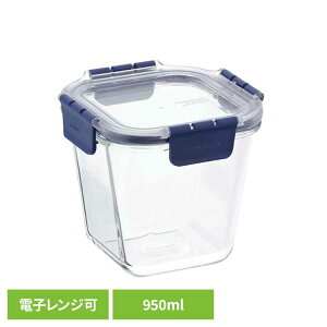 ۑe XNGA 950ml LBG217ۑe  4_bN ϔMKX I[u dqW ① Ⓚ X^bLO xXgR LIV PLUS yBz