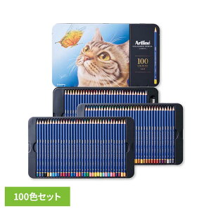 �A�[�g���C���F���M ���x���I100�F�Z�b�g KCPL-100C/H�V���`�n�^ �A�[�g���C�� �F���M ���[�� �A�[�g���C��