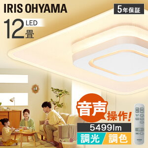 LEDV[OCg  plCg 12 CEK-A12DLPSV zCg  V[OCg 12 LED Cg dC d   F  F Xs[J[sv Wi-Fisv 