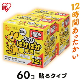 カイロ 貼る 60枚入り 30個入り×2箱 2箱セット 貼るカイロ かいろ 懐炉 60枚 使い捨てカイロ レギュラー 寒さ対策 あったか 防寒 腰 脇 背中 冬 防寒対策 防寒グッズ グッズ 冷え 防災 使い捨て アイリスオーヤマ 12時間持続