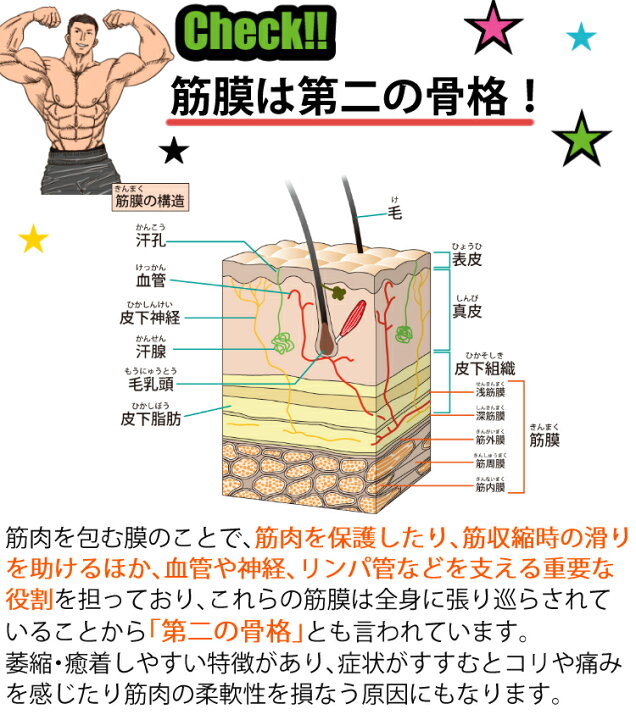 楽天市場 筋膜リリース機 Miti Health Nano グレー Sw M01s マッサージャー マッサージガン 小型 軽量 静音 電動マッサージ機 筋肉 ほぐす リラックス おすすめ 充電式 バッテリー式 持ち運び 振動 三段階 肩 背中 頭 おしり 全身 快適家電デジタルライフ 快適家電
