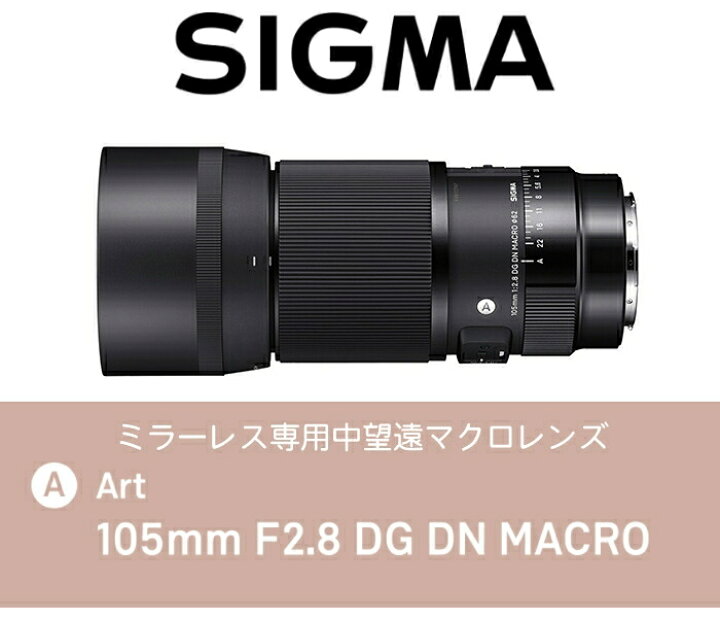 楽天市場】（レビューでレンズキャッププレゼント）シグマ SIGMA 105mm 