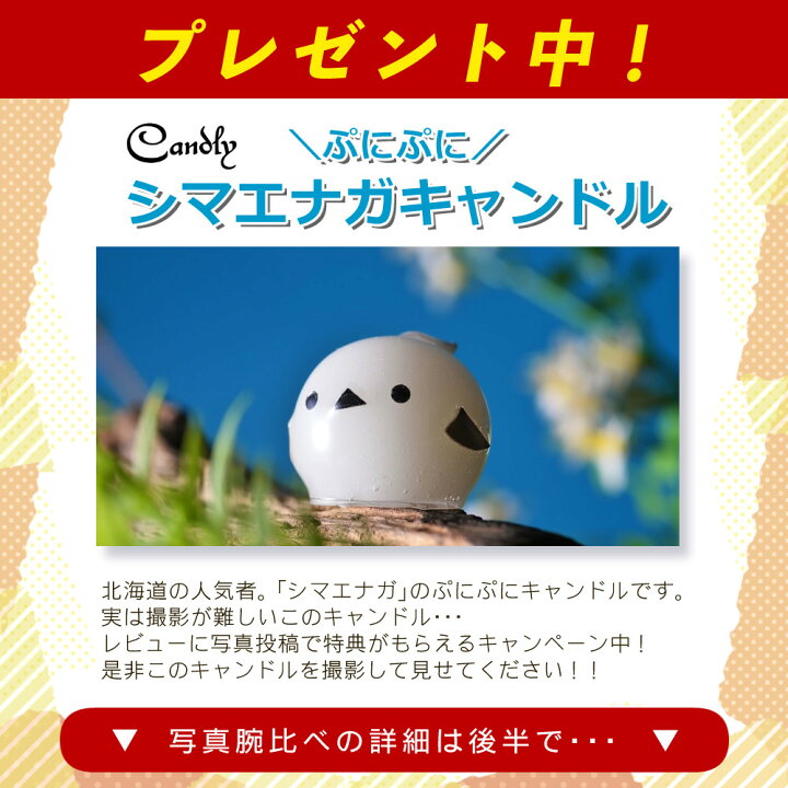 楽天市場】（レビューでレンズキャッププレゼント）【バッグ付き 