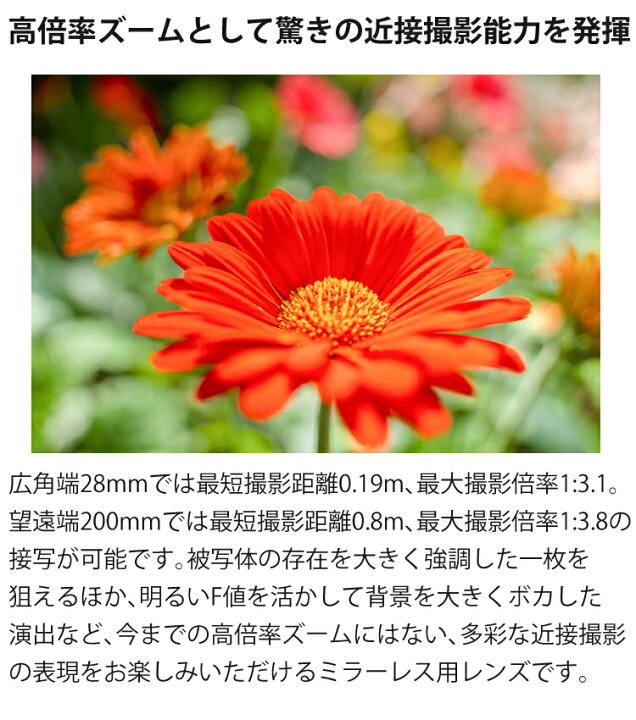 楽天市場】（レビューでレンズキャッププレゼント）【バッグ付き 