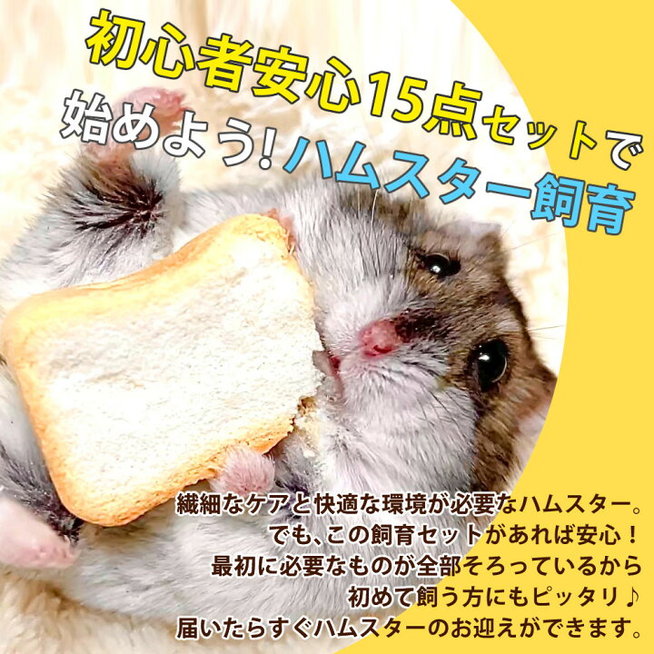 楽天市場】(15点セット) ハムスター 飼育 セット マルカン クリーン 
