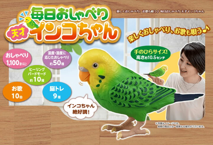 楽天市場 おしゃべり おもちゃ 玩具 毎日おしゃべり 天才インコちゃん タカラトミー 脳トレ 敬老の日 の贈り物に 祖父 祖母 一人暮らしの おじいちゃん おばあちゃん へのプレゼントにおすすめ デジタルライフ デジタルライフ