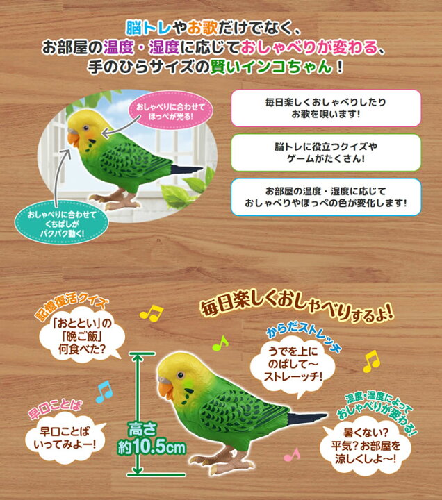 楽天市場 おしゃべり おもちゃ 玩具 毎日おしゃべり 天才インコちゃん タカラトミー 脳トレ 敬老の日 の贈り物に 祖父 祖母 一人暮らしの おじいちゃん おばあちゃん へのプレゼントにおすすめ デジタルライフ デジタルライフ