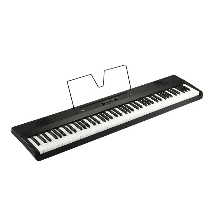 楽天市場】コルグ KORG 電子ピアノ L1SP Liano DIGITAL PIANO 88鍵 