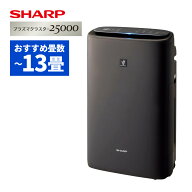 シャープ 空気清浄機 加湿器 KI-TS50-H グレー 〜13畳 最大加湿量 600mL/h SHARP 加湿空気清浄機 プラズ…
