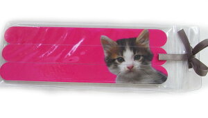 lCt@C LbgsN@[lRObY@LG]G[{[h@܂₷[Catseye]Lbg