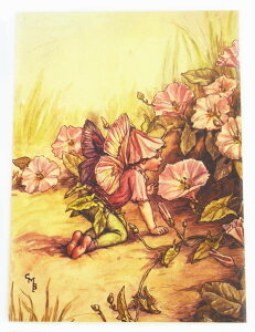 |XgJ[hqKItFA[[FLOWER FAIRY]t[tFA[bZ[WJ[h