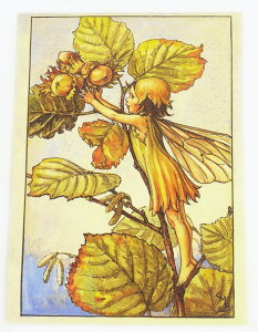 |XgJ[hw[[ibctFA[[FLOWER FAIRY]t[tFA[bZ[WJ[h