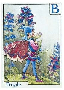 |XgJ[hBugletFA[[FLOWER FAIRY]t[tFA[bZ[WJ[h