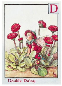 |XgJ[h_ufCW[tFA[[FLOWER FAIRY]t[tFA[bZ[WJ[h