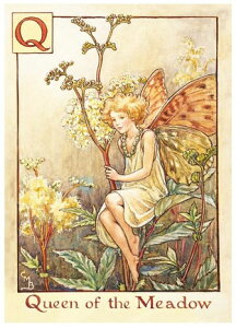 |XgJ[hNC[tFA[[FLOWER FAIRY]t[tFA[bZ[WJ[h