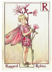 |XgJ[hRaggedtFA[[FLOWER FAIRY]t[tFA[bZ[WJ[h