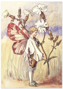 |XgJ[hzCgCampiontFA[[FLOWER FAIRY]t[tFA[bZ[WJ[h