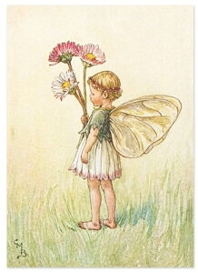 |XgJ[hDaisytFA[[FLOWER FAIRY]t[tFA[bZ[WJ[h