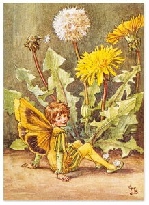 |XgJ[hDandeliontFA[[FLOWER FAIRY]t[tFA[bZ[WJ[h