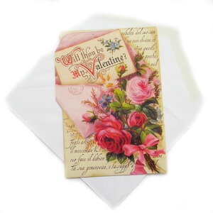 [Punch Studio]X[J[h@u^[@ړIp`X^WIbZ[WEMtgEԁEu[PEn[g