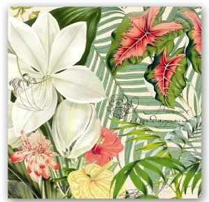 Michel Design Works �y�[�p�[�i�v�L��[���[����OK]���J�N�e���T�C�Y���o�j���p�[���@2������@�y�[�p�[�i�t�L���E���i�v�L���E�f�R�p�[�W���E�N���X�}�X�~�b�V�F���f�U�C�����[�N�X