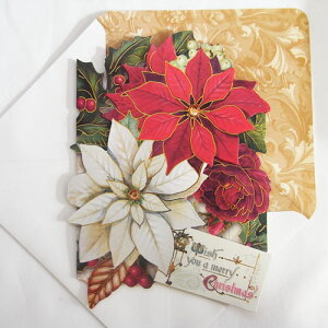 [Punch Studio]NX}XJ[h NX}X@|CZ`Ap`X^WI@NX}X