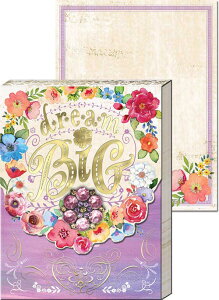 [Punch Studio]u[`@h[@rbOԁEt[EEm[gEp`X^WIEMtg