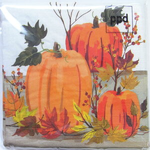 y[p[ivL 10@nEBpvL@ppd[hCc]nEBEڂEfRp[WEbsO