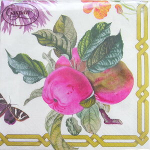 �y�[�p�[�i�v�L�� �ʎ��ƒ� �����`�T�C�YCaspari �J�X�p��