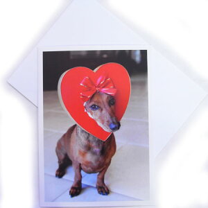 o^CJ[h@LfB{bNXEhbO@Ck[AVANTI]bZ[WEMtgJ[hEO[eBOEEn[g