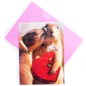 700836o^CJ[h@vC[hbO@[AVANTI]bZ[WEMtgJ[hEO[eBOEn[g