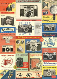 Cavallini&Co 包装紙　1703　ラッピングペーパー　ヴィンテージカメラ　ポスター輸入包装紙スクラップブッキング