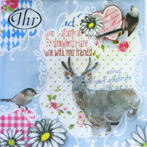 �y�[�p�[�i�v�L���@�����`�T�C�Y�@10������@[���[����OK]�@BAVARIAN�@PARTY BIUE�@[IHR]�h�C�c�@���i�v�L���E�y�[�p�[�i�v�L���E�f�R�p�[�W��