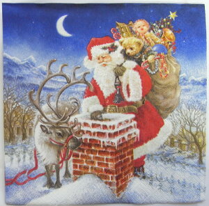 2y[p[ivL `TCY@˂ɃT^@NX}X[Daisy]y[p[itLEivLEfRp[WEXmas