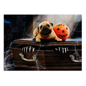 AVANTI PRESS nEB O[eBOJ[h@pOƊ@@nEB[@@CeA@@킢@t