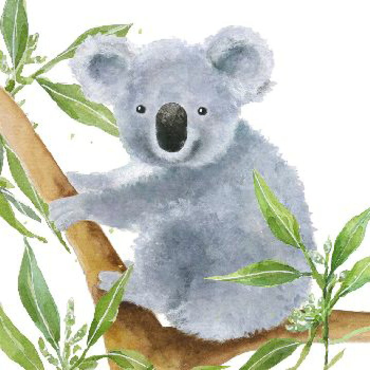 楽天市場 10枚ペーパーナプキン ランチサイズ コアラ Tropical Koala Bear Ppd Paper Products Design Anneko Designドイツ製ユーカリ 春 ｋａｄｅｒｉａ