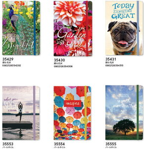 Punch Studio@\tgJo[W[im[g18@ʐ^p`X^WI9~rEs[RbNEEENWN 100y[W GbtF