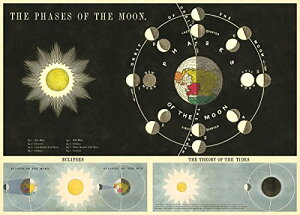 Cavallini&Co @1712@bsOy[p[@[@@MOON@|X^[AXNbvubLOE|X^[EfRp[W