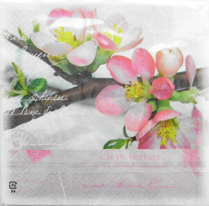 紙 ナプキン 花の人気商品 通販 価格比較 価格 Com