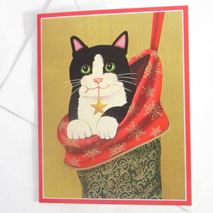 NX}XJ[h@킦LCaspari@Barbara SchafferO[eBOJ[hElRENX}X