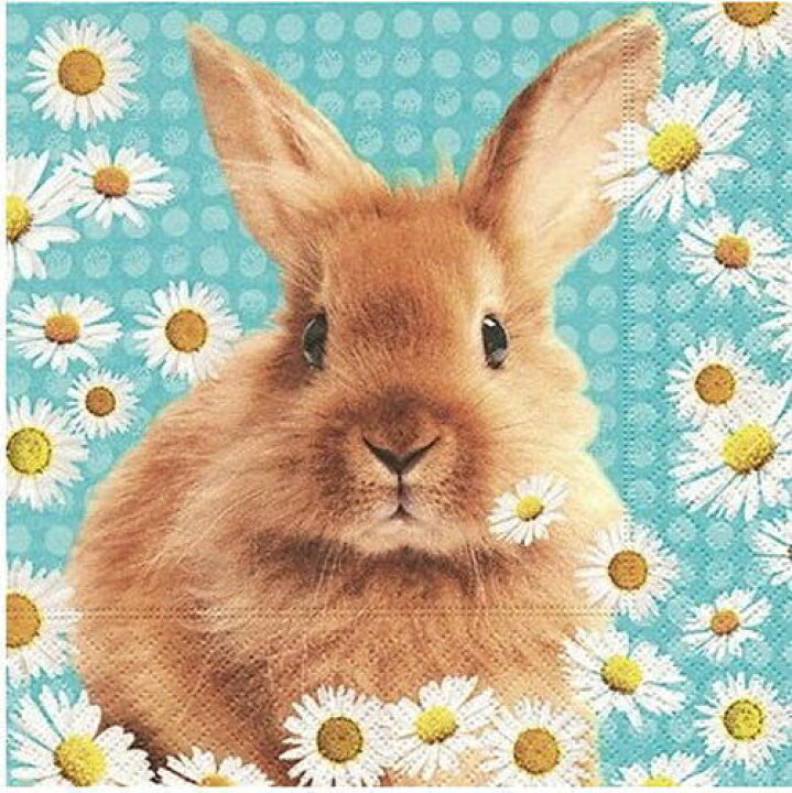 楽天市場 C 403 ペーパーナプキン デイジーラビット うさぎ 花柄 水色 ドット3枚入り ｐaper ｄesign ペーパーデザイン紙ナプキン デコパージュ ｋａｄｅｒｉａ