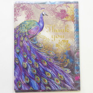 [Punch Studio]TL[J[hS@CJbgs[RbNp`X^WI@IKAT PEACOCKEENWNEႭ