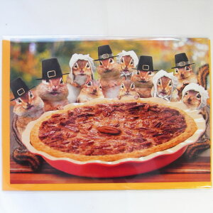 701588@nEBJ[h@V}XpC@[AVANTI]肷EHEHALLOWEENEӍՃbZ[WEMtgJ[hEO[eBO