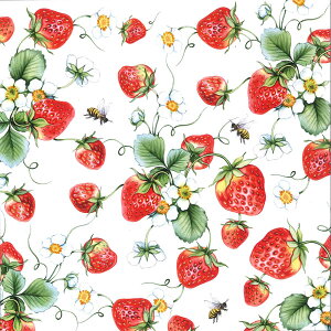 10y[p[ivL Xgx[Strawberries All Over[Ambiente]`TCY  C`S 
