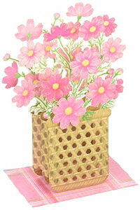 HJ[h@|bvAbv @^RXX[Sanrio]TIG߂̃J[h@ĂďJ[h@̃J[h@H@80428-2