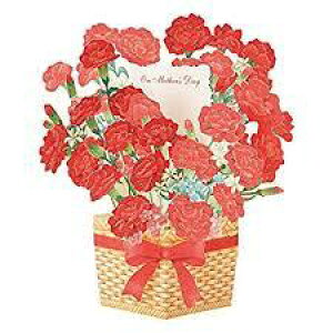 母の日カード 籠に入ったカーネーションサンリオ Sanrioサンリオ定形外サイズ グリーティング