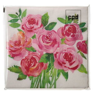 10 y[p[ivL ʃ[Yԑppd hCcfRp[W ΂ KN o 