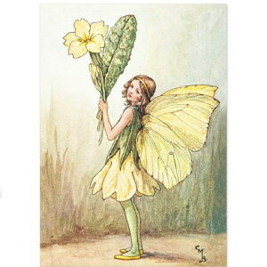 |XgJ[hv[YtFA[Primrose Fairy[FLOWER FAIRY]t[tFA[bZ[WJ[h