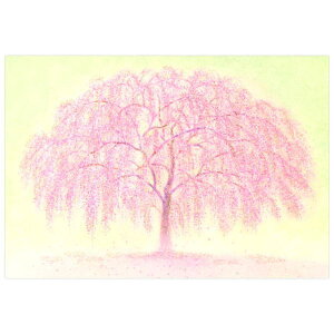 tJ[h@ړIJ[h@Δwiɍ̖1{@Sanrio@TIEJ[hEO[eBOJ[hEړIJ[h