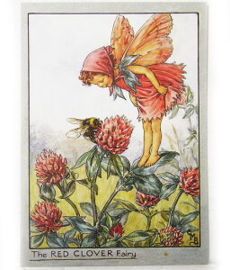 |XgJ[hBEE@bhN[o[[FLOWER FAIRY]t[tFA[bZ[WJ[ht`uhbOECkEEDOG